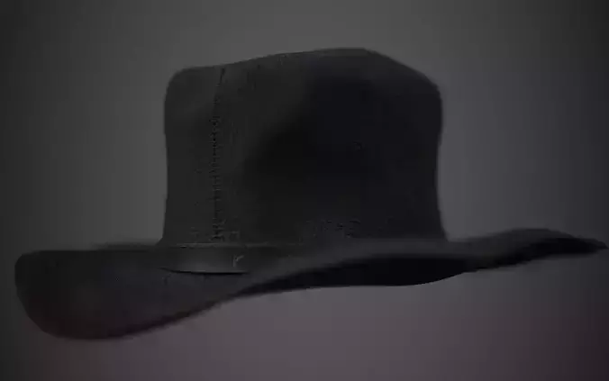 Western Hat HD leather