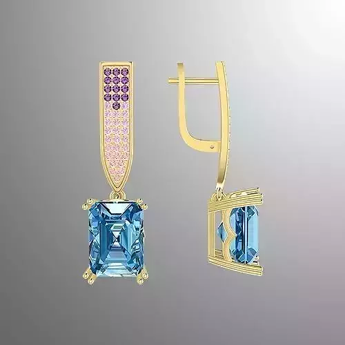 Earrings  pl 1