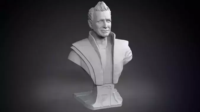 The Grandmaster bust of man with curly hair 3D print model