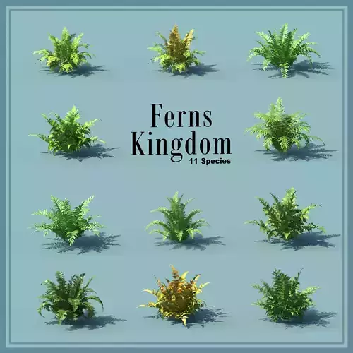 Fern Kingdoms 11 Species