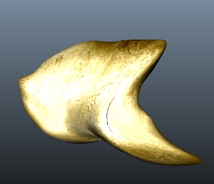 Bone Sword 3D model_5