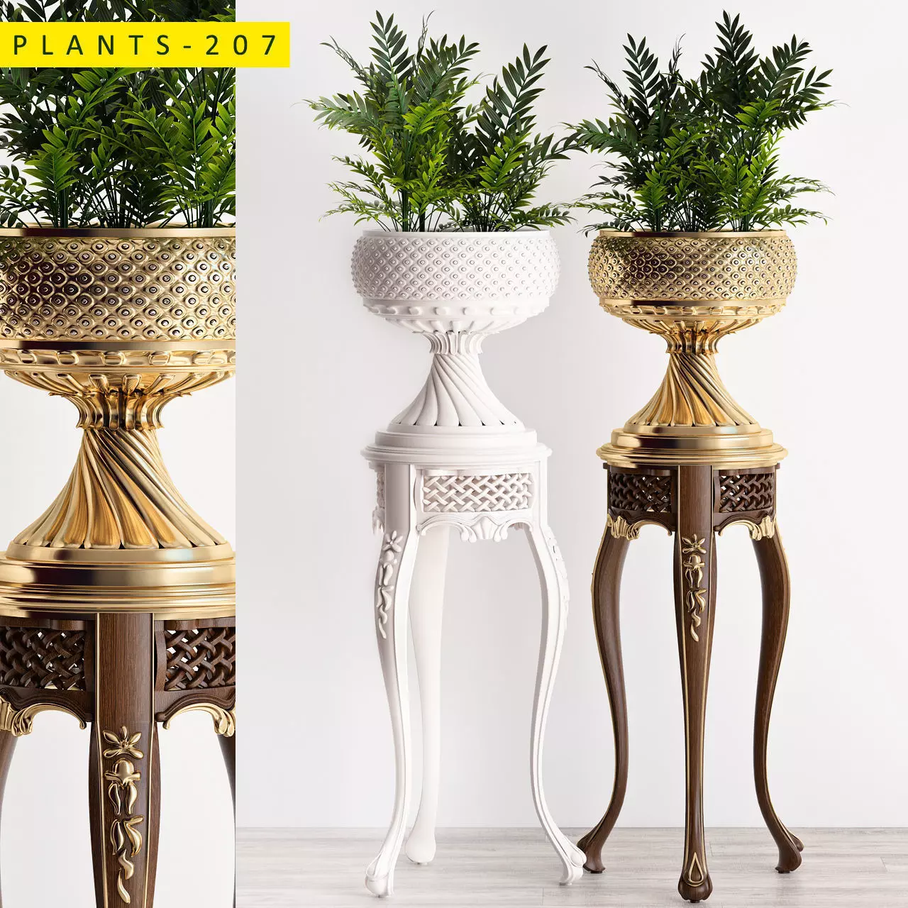 PLANTS 207 3D model_0