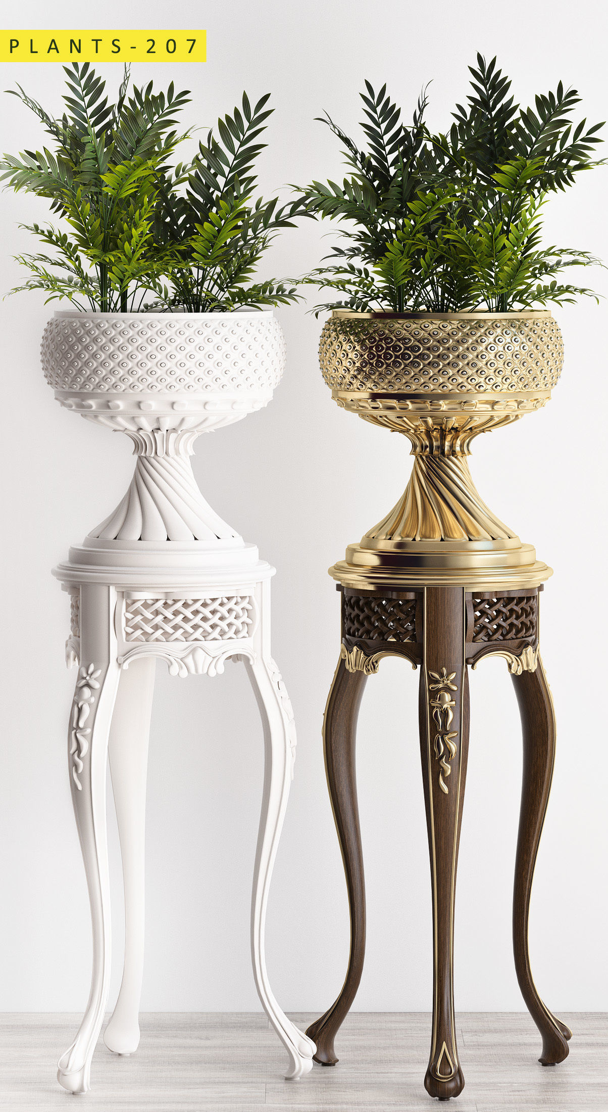 PLANTS 207 3D model_1