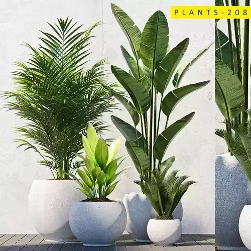 PLANTS 208 3D model
