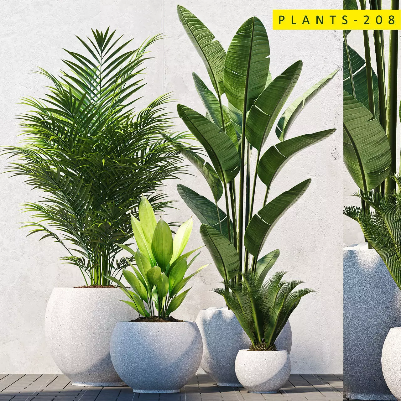 PLANTS 208 3D model_0