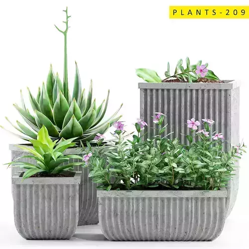 PLANTS 209