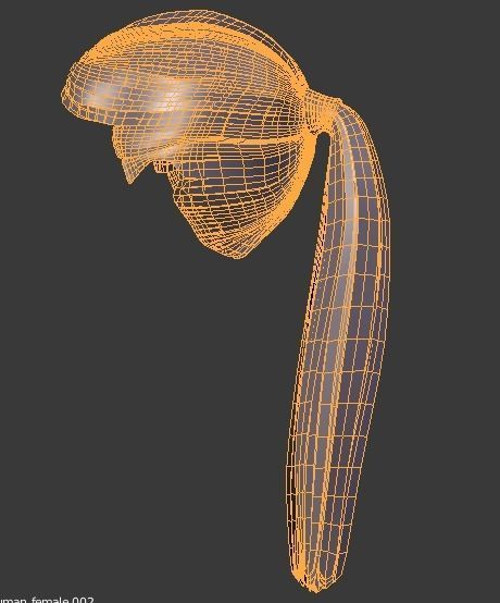 Female Generic Low Poly Low-poly 3D model_10