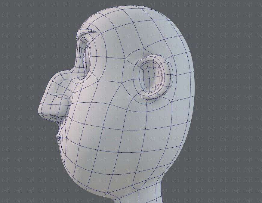 Base mesh man character V13 Low-poly 3D model_40