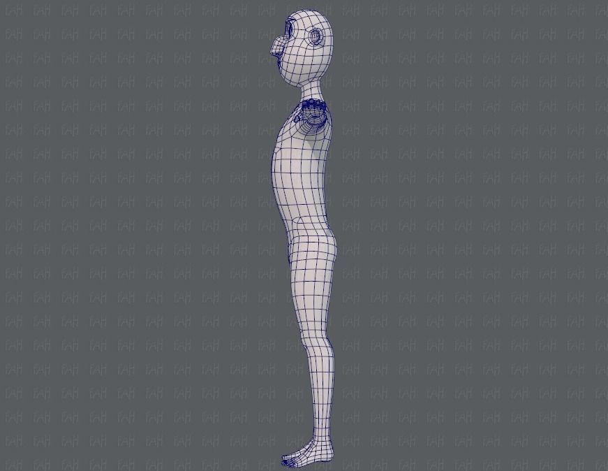 Base mesh man character V13 Low-poly 3D model_15