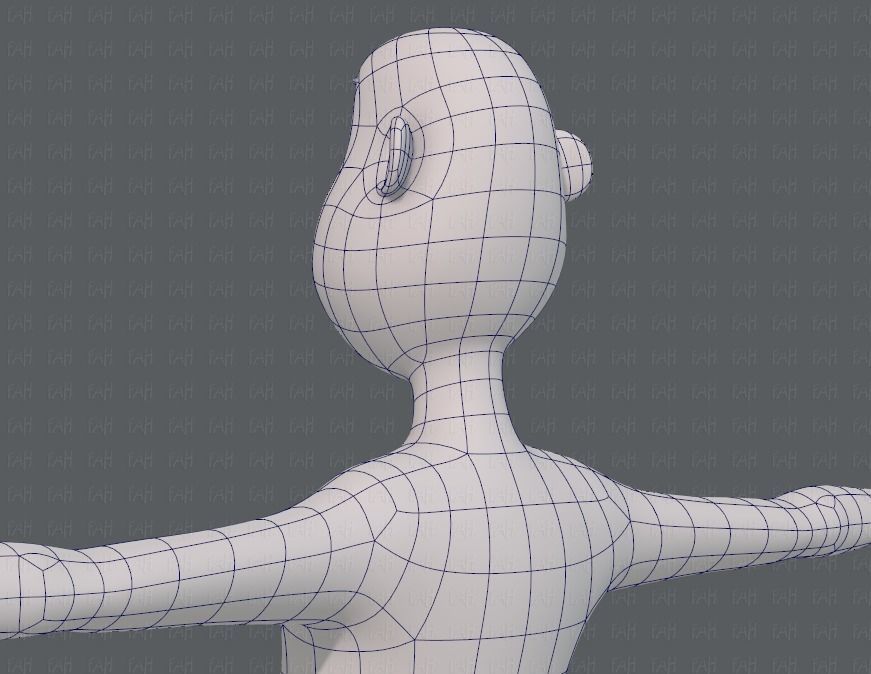 Base mesh man character V13 Low-poly 3D model_30