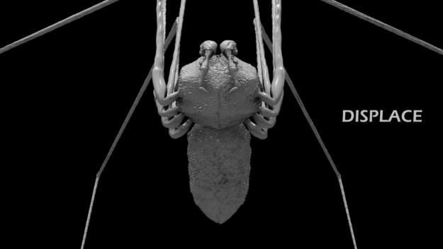 Spider Pholcus Phalangioides Rigged 3D model_11