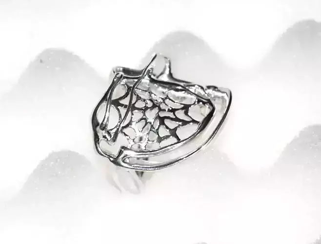 Ring with spiderweb