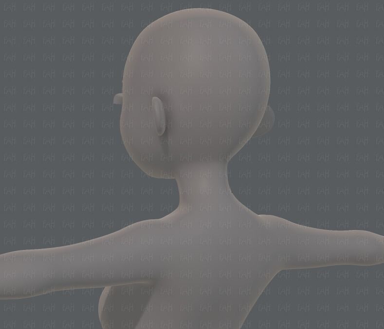 Base mesh girl characterV09 Low-poly 3D model_22