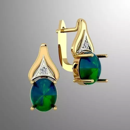 Earrings  dp 1 3D print model_0