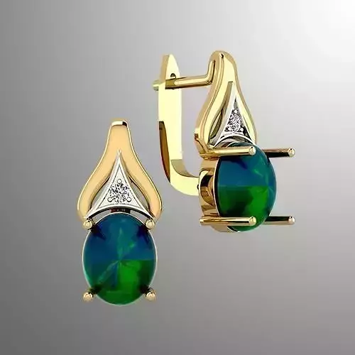 Earrings  dp 1 3D print model