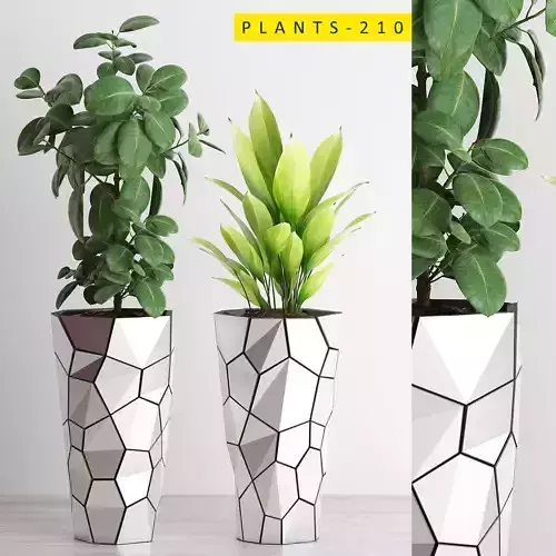 Plnats 210 3D model