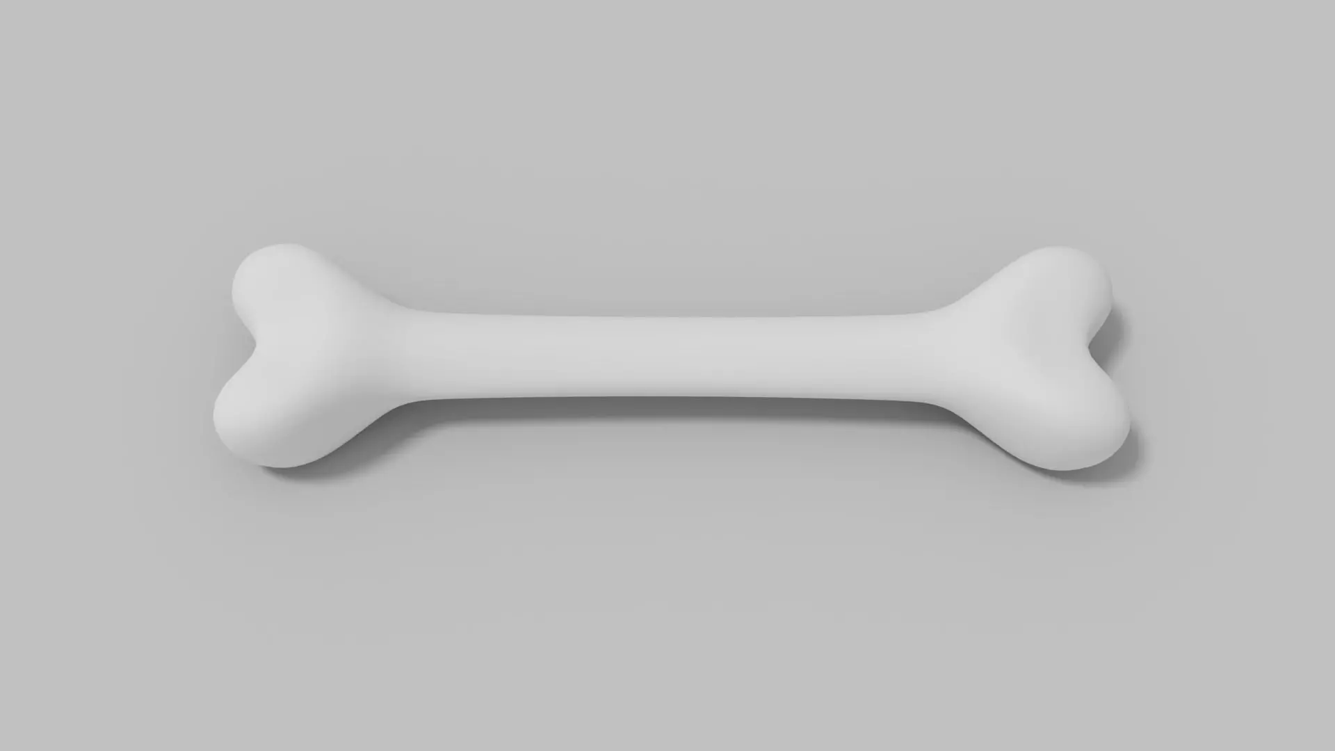 Bone 3D Model 3D model_0
