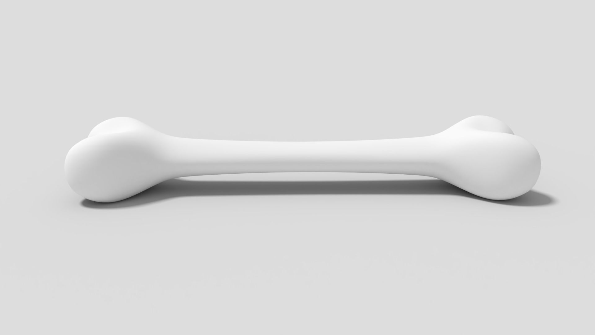 Bone 3D Model 3D model_2