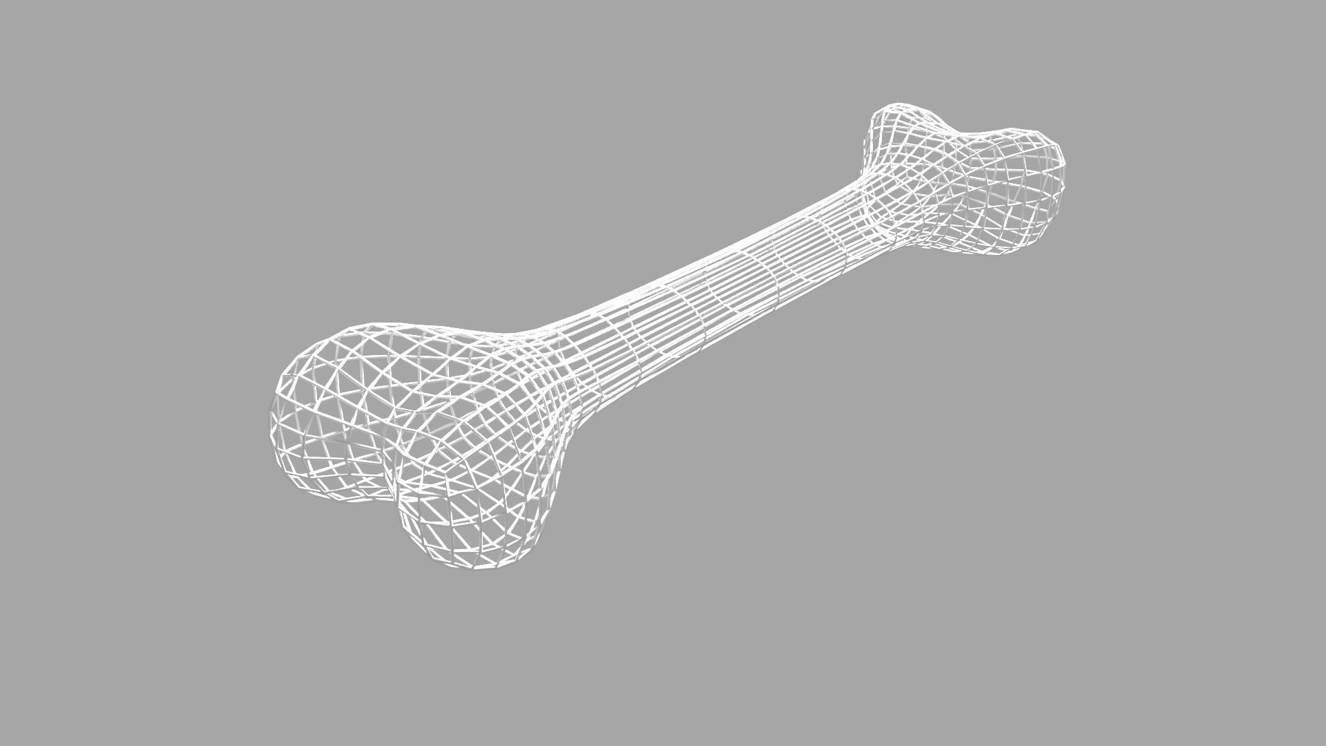 Bone 3D Model 3D model_6