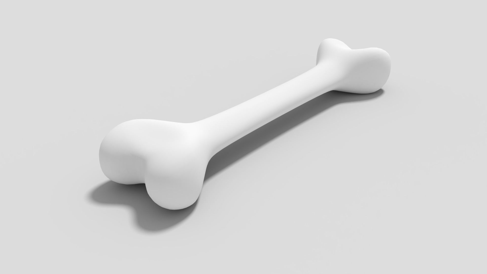 Bone 3D Model 3D model_4