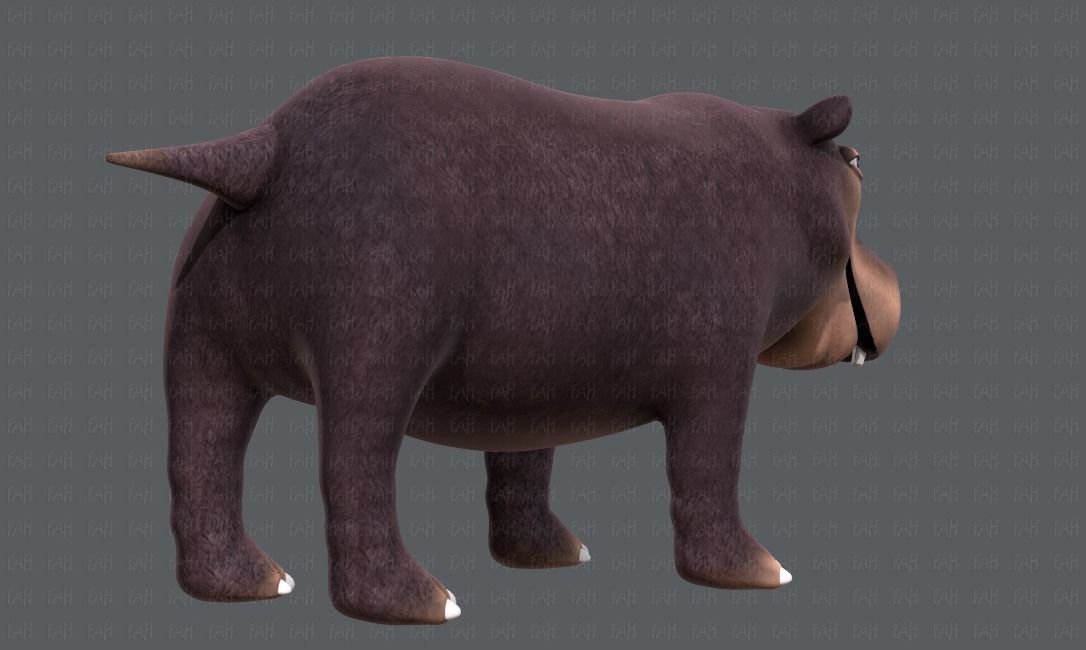 Hippo V01 Low-poly 3D model_4