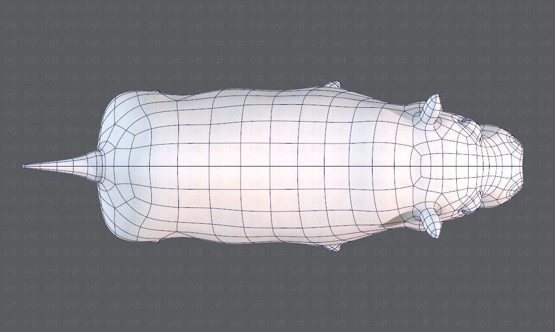 Hippo V01 Low-poly 3D model_34