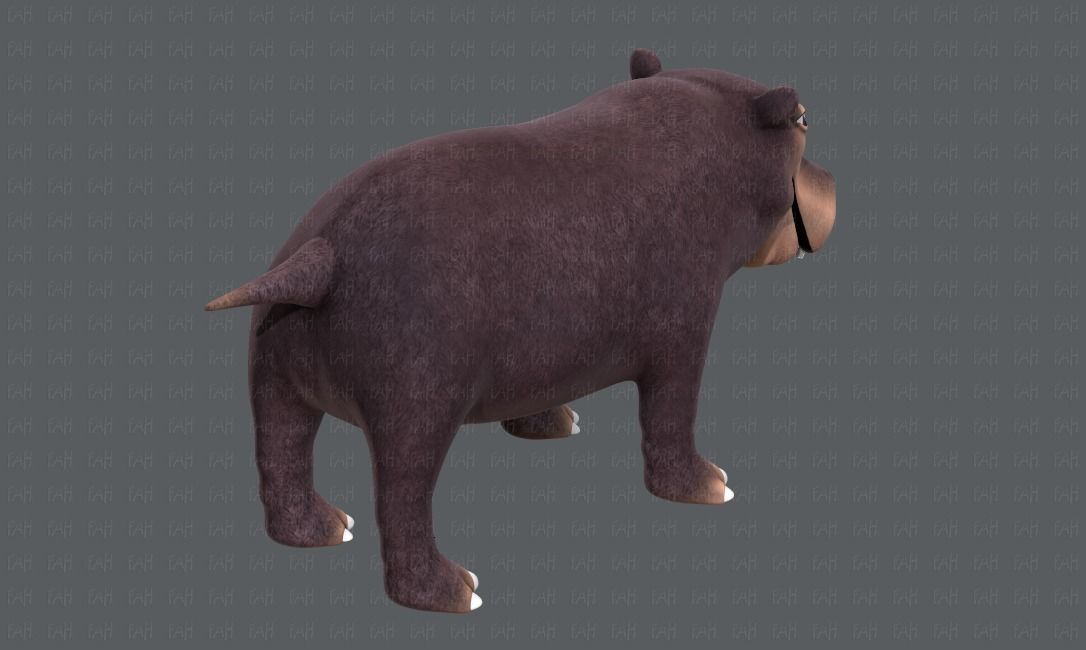 Hippo V01 Low-poly 3D model_20