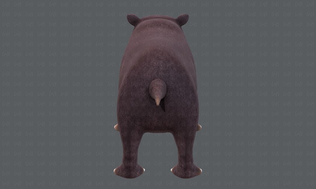 Hippo V01 Low-poly 3D model_21