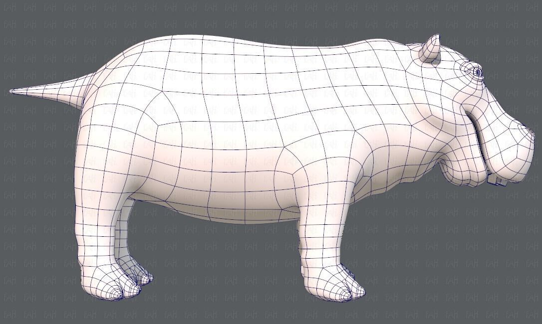 Hippo V01 Low-poly 3D model_11