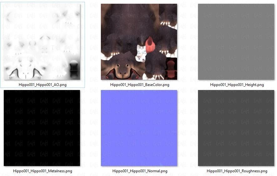 Hippo V01 Low-poly 3D model_46