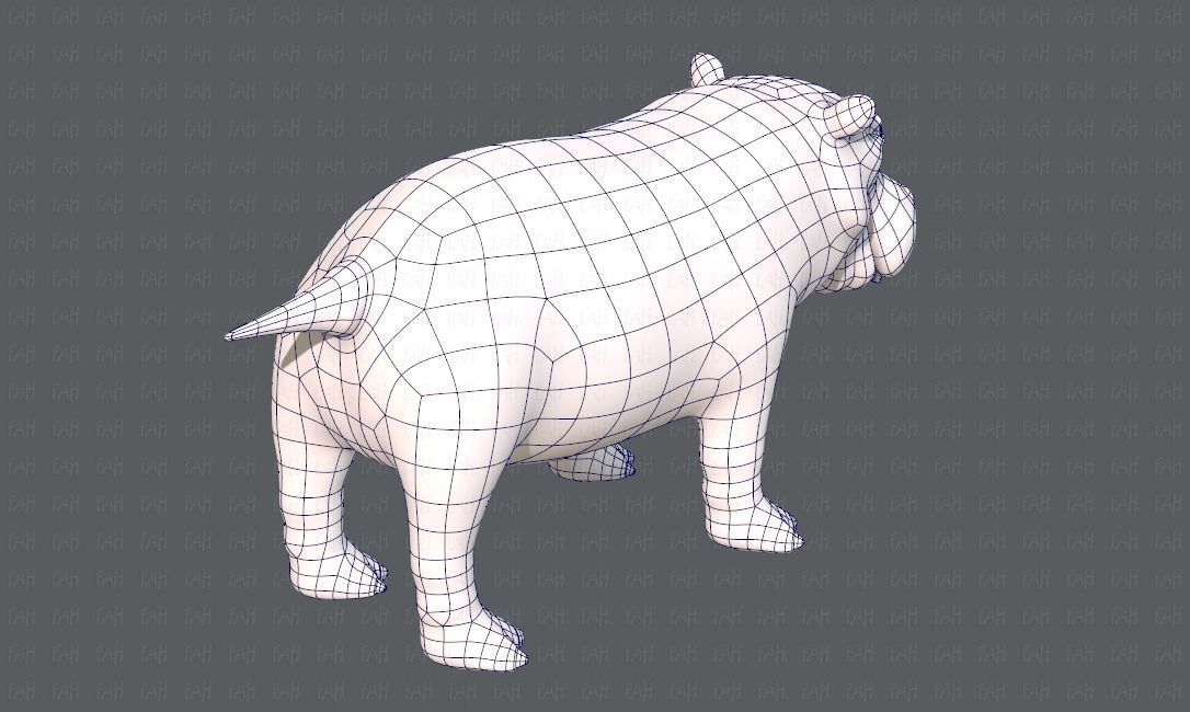 Hippo V01 Low-poly 3D model_28