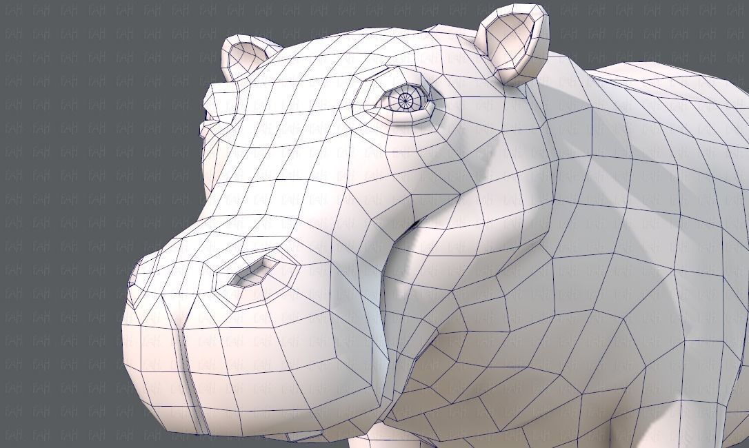 Hippo V01 Low-poly 3D model_44
