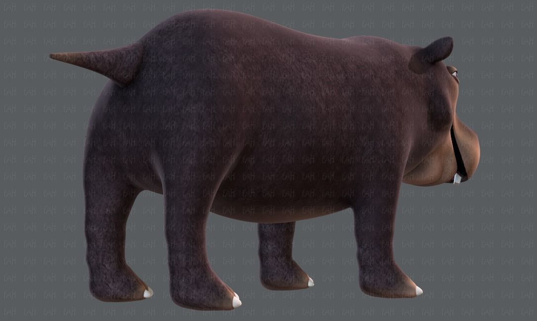 Hippo V01 Low-poly 3D model_39