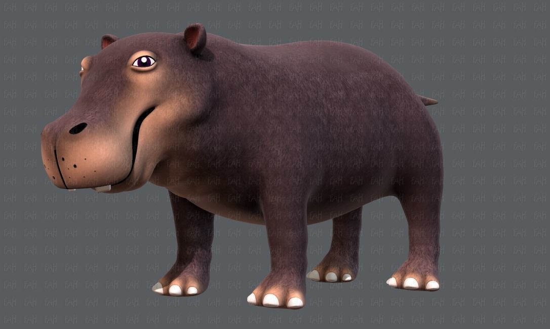 Hippo V01 Low-poly 3D model_8