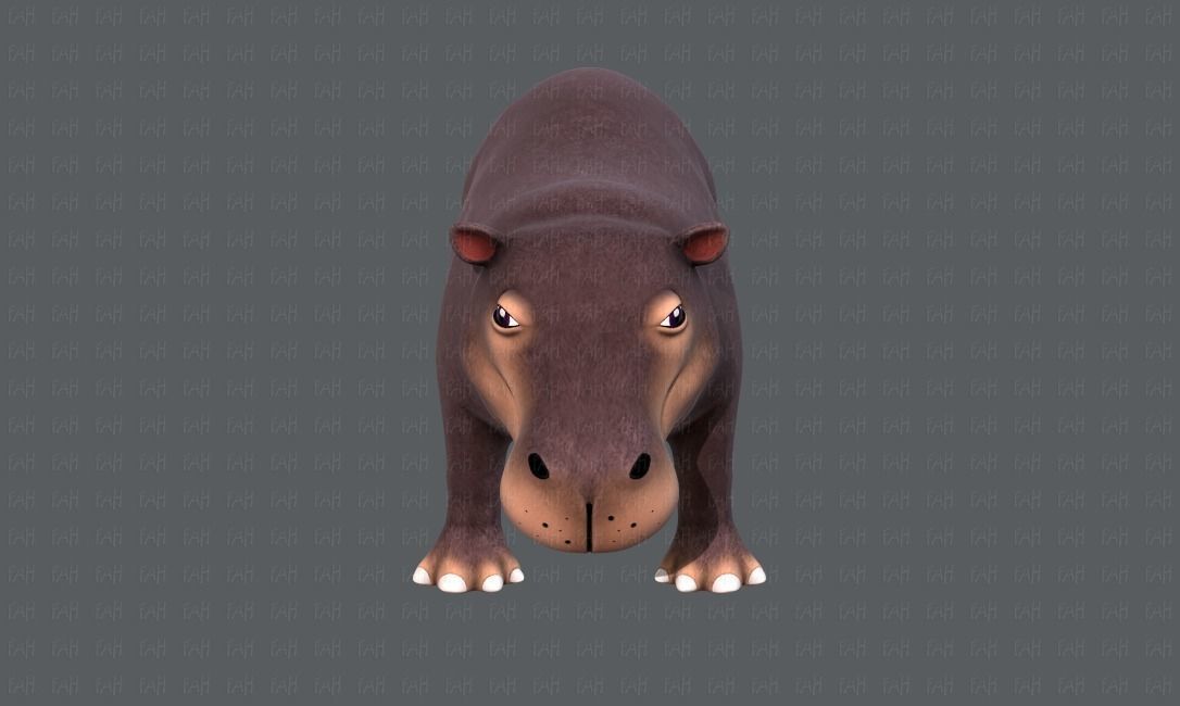 Hippo V01 Low-poly 3D model_17