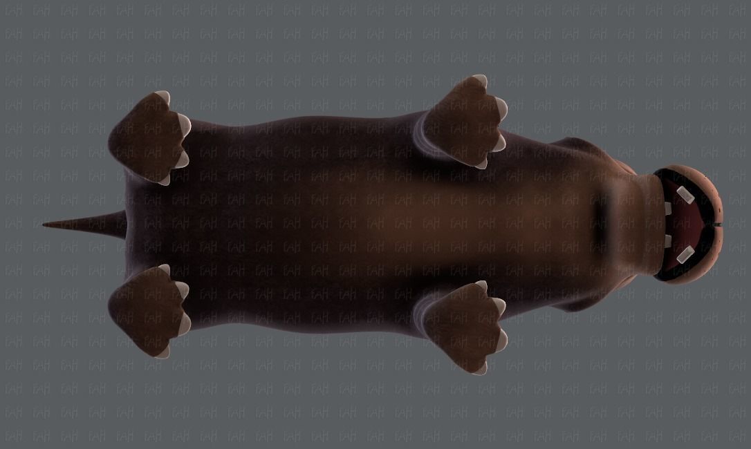 Hippo V01 Low-poly 3D model_35