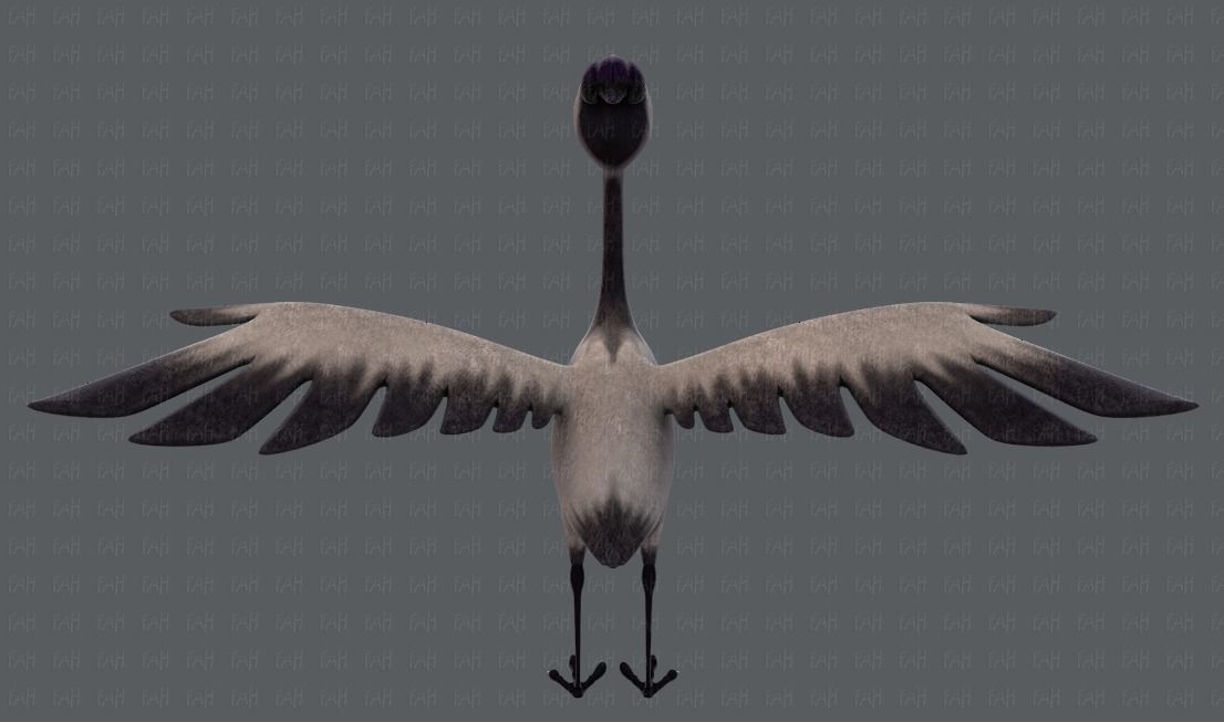 Crane V01 Low-poly 3D model_21