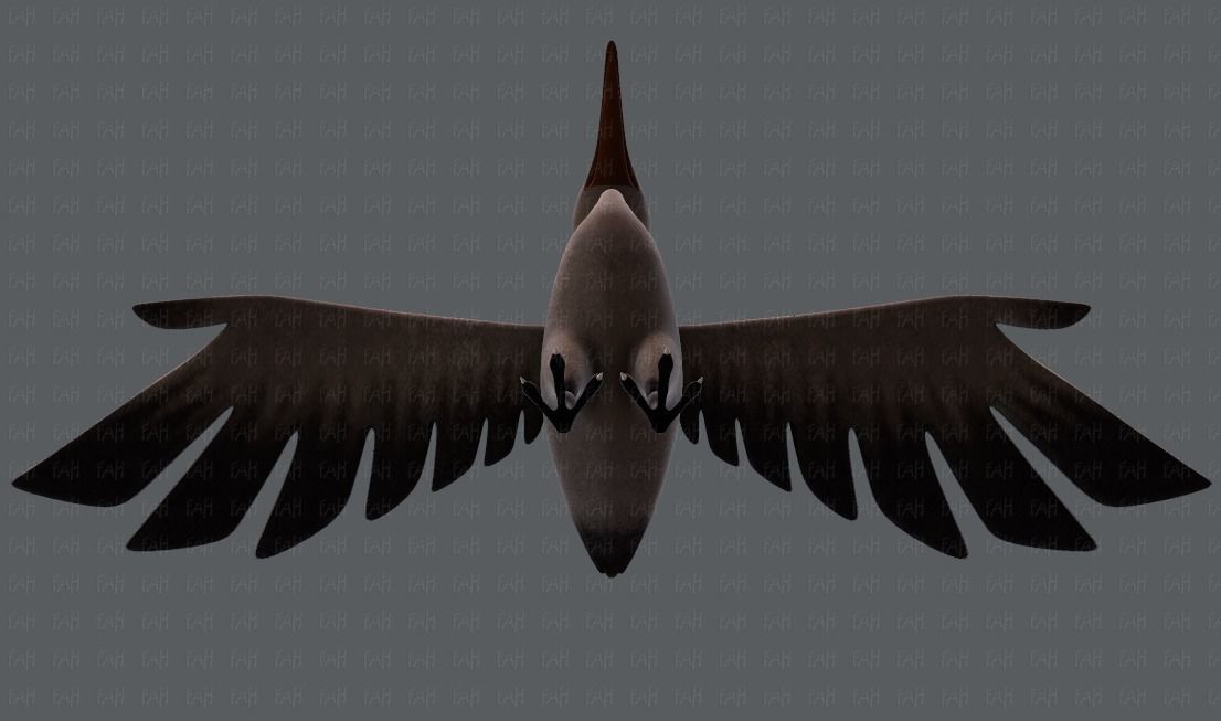 Crane V01 Low-poly 3D model_35