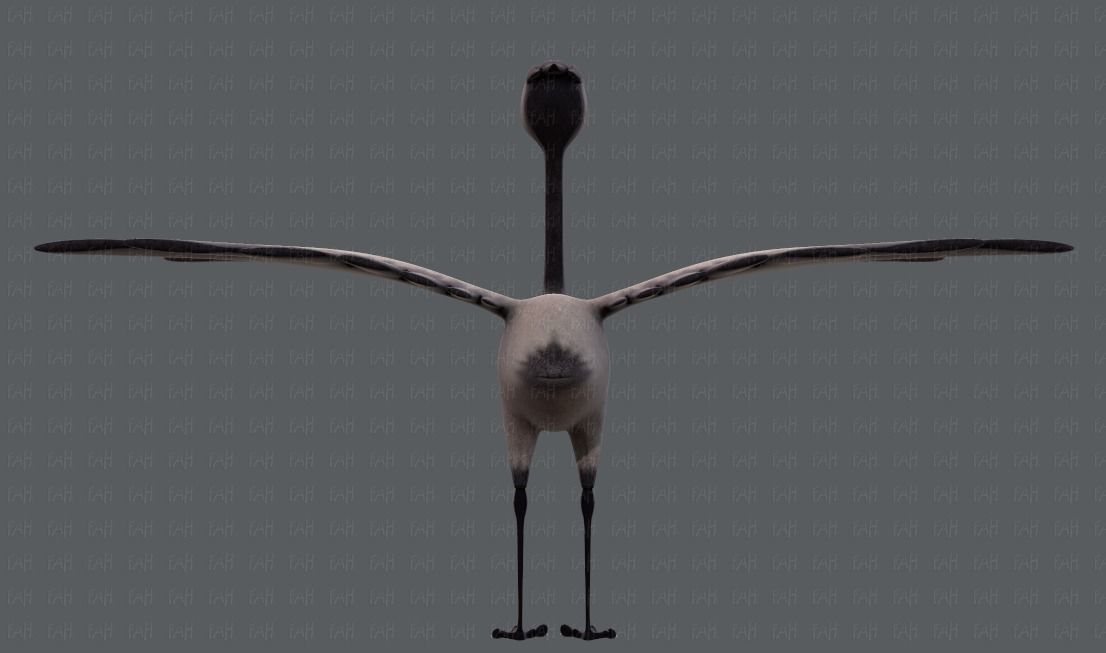 Crane V01 Low-poly 3D model_5