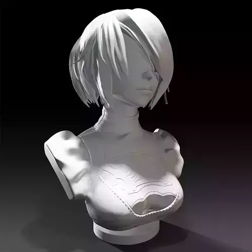 2B Bust