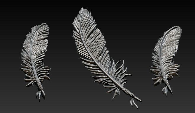Feather 3D print model_4
