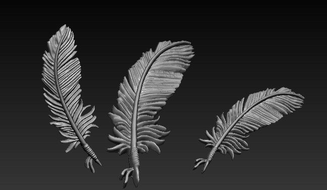 Feather 3D print model_2