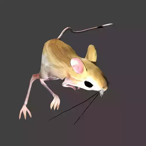 Jerboa mouse with long legs 3D model