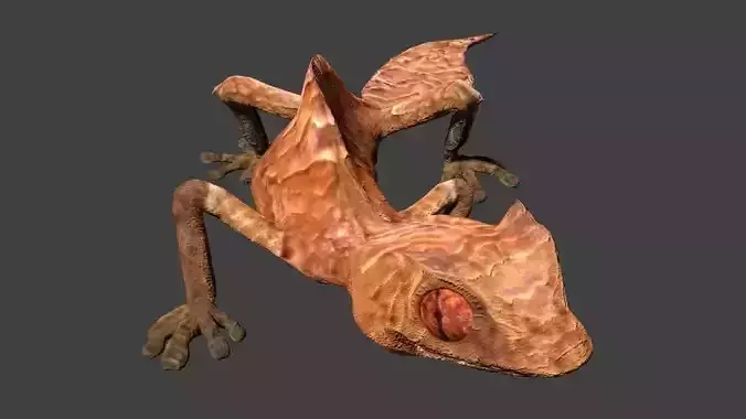 Satanic leaf gecko 3D model