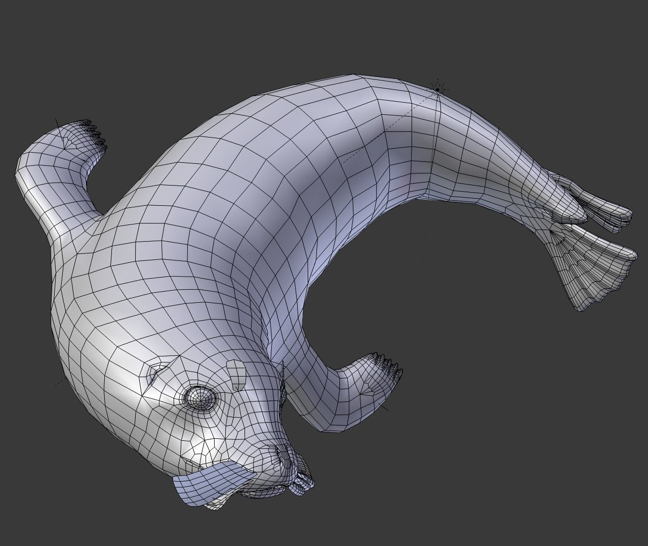 Earless seal 3D model_5