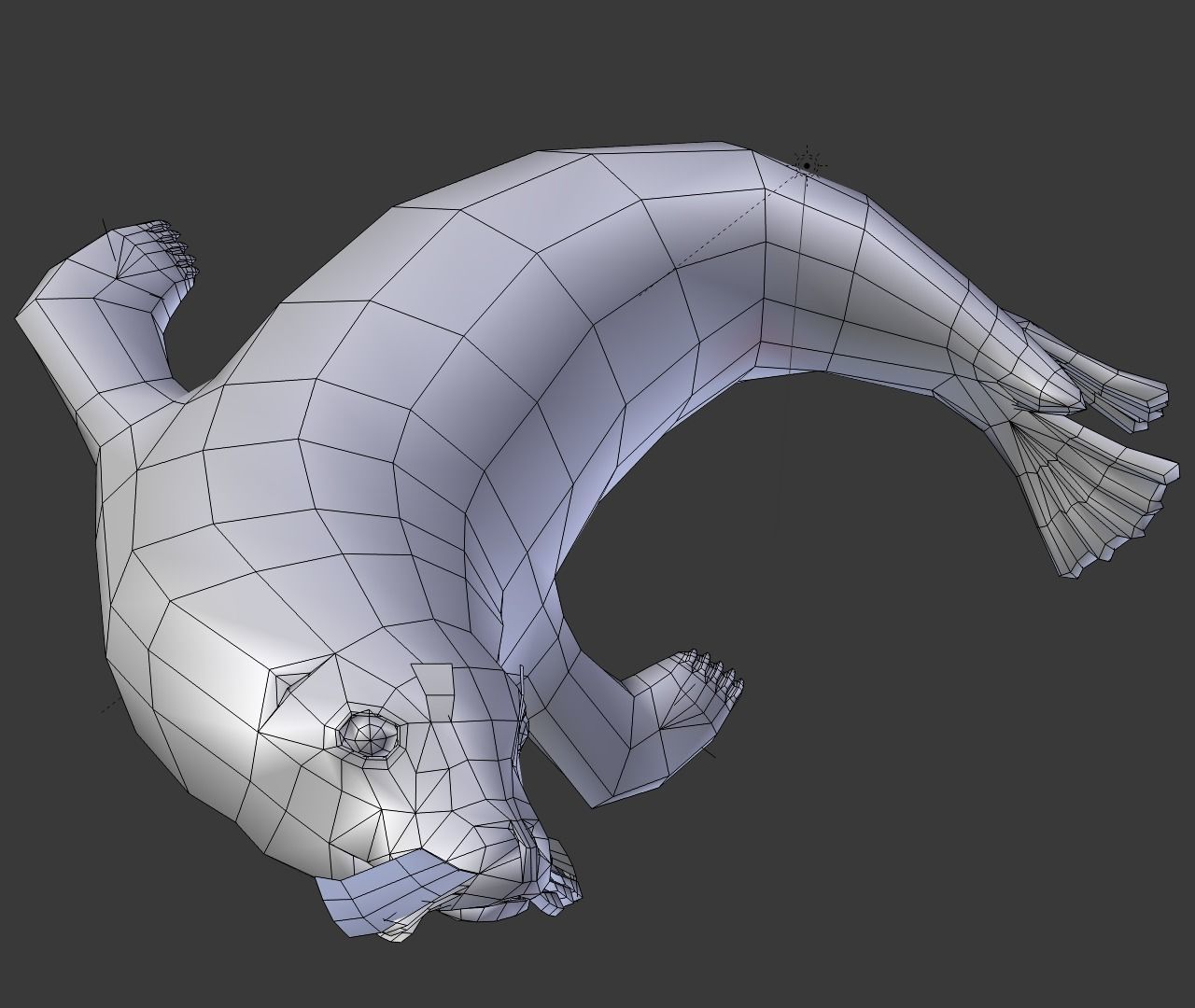 Earless seal 3D model_6