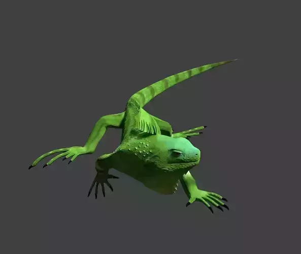 Iguana Free 3D model