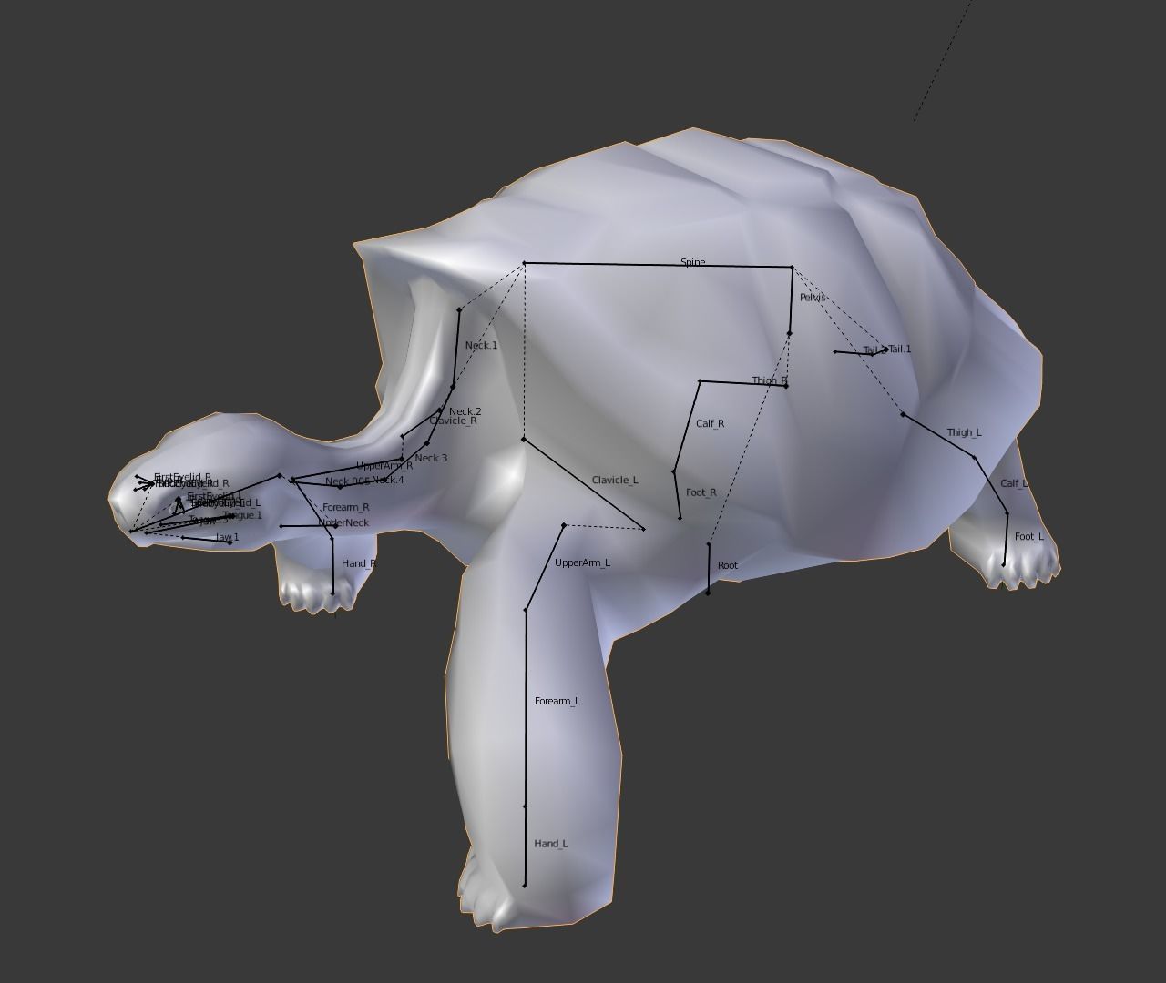 Giant tortoise 3D model_6
