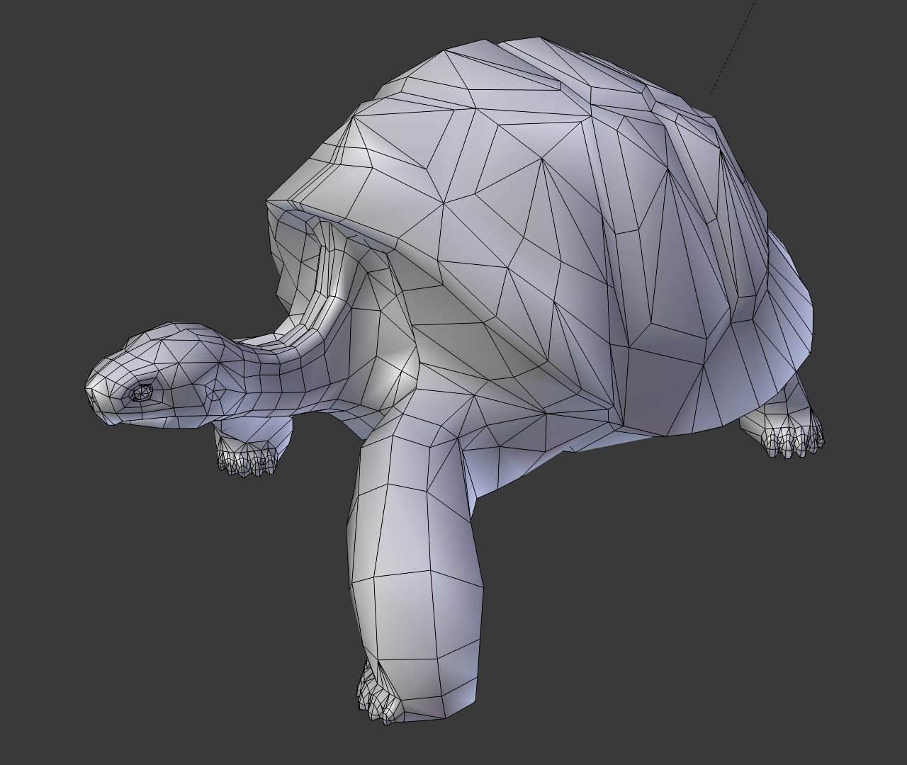 Giant tortoise 3D model_8
