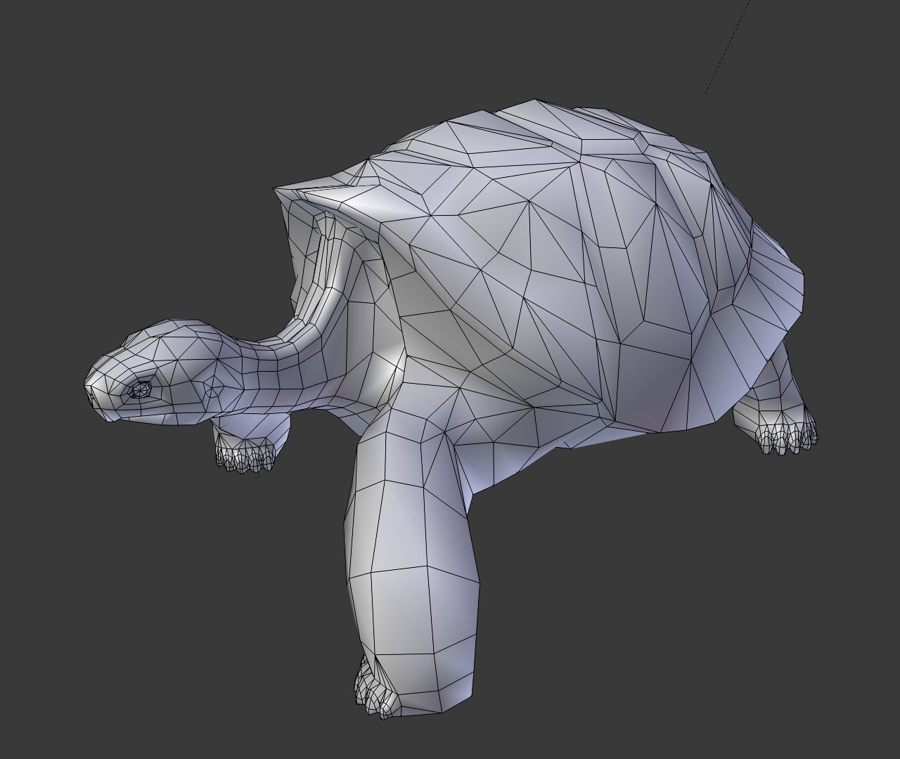 Giant tortoise 3D model_7